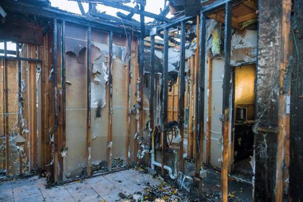 Professional Fire Damage Removal technician working in Owings Mills, MD